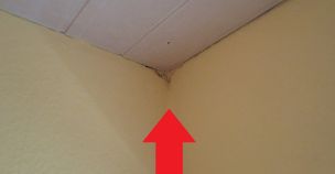 IMG_0110.JPG