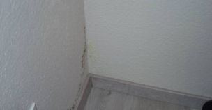 image003.jpg